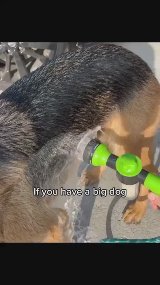 1.mp4